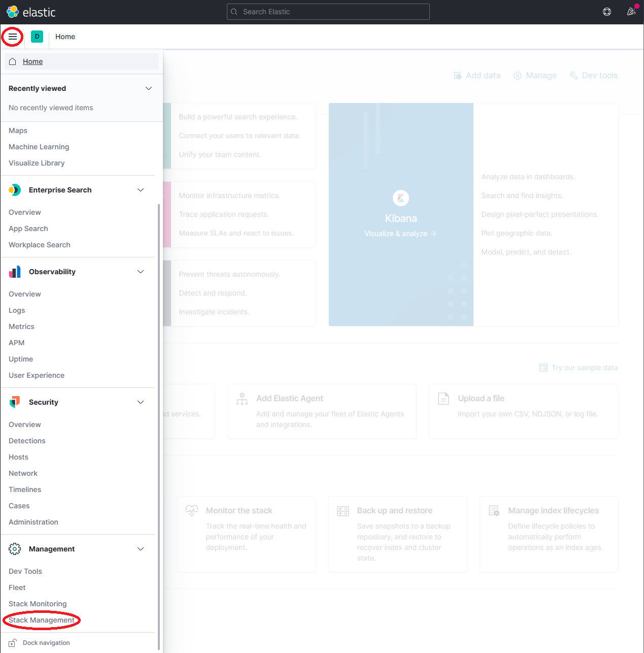 Kibana 管理菜单选项下的 Stack Management 项